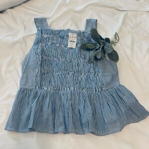 J. Crew Blue Striped Blouse
